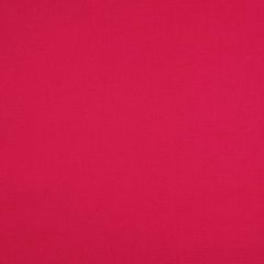 Canvas Basic - Pink