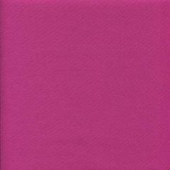 Echino Solid - Fuchsia