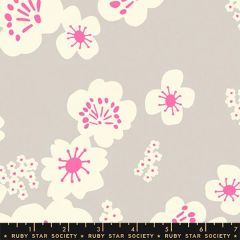 Ruby Star Society Hana Canvas - Sandbox / Neon Pink
