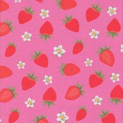 Jersey Strawberry Taste - Pink