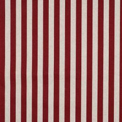 Coated Canvas Stripe - Rot