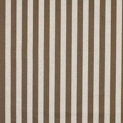 Coated Canvas Stripe - Taupe