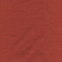 Single Jersey - Rust