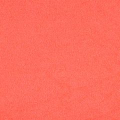 Teddy Fleece Doubleface - Abricot