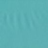 Cotton Basic  - Mint