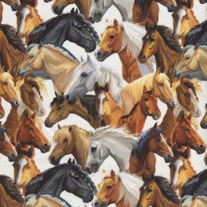 Canvas Pferde