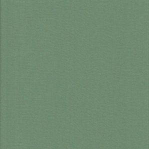 Cotton Basic - Aloe