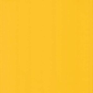 Raincoat Regenjackenstoff - Gelb