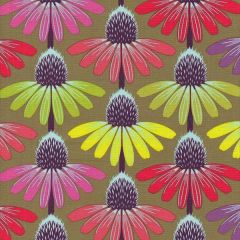 Love Always Echinacea Glow - Autumn