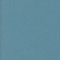Cotton Basic - Hellblau