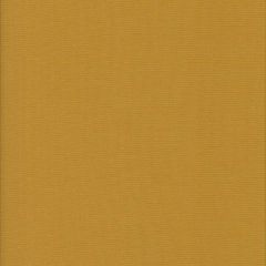 Cotton Basic - Mustard