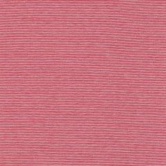 Jersey Mini-Ringel - Rot/Weiß
