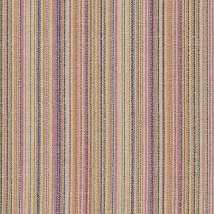 Sweet Stripes - Creme