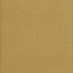 Babycord Fein - Curry