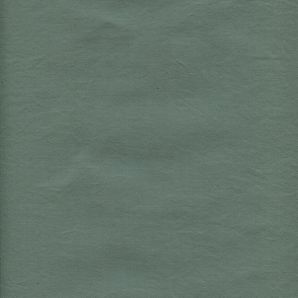 Reststück Dry Organic Cotton Oilskin - Storm