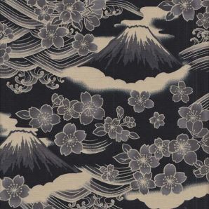 Fuji Monochrome - Schwarz