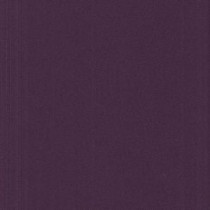 Softshell Uni - Aubergine